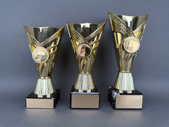 Huvudbild Trofé Aino