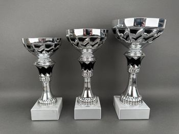 Huvudbild Pokal Noah