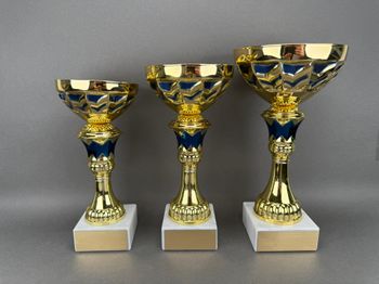 Huvudbild Pokal Olivia