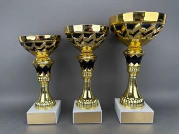 Huvudbild Pokal Vera
