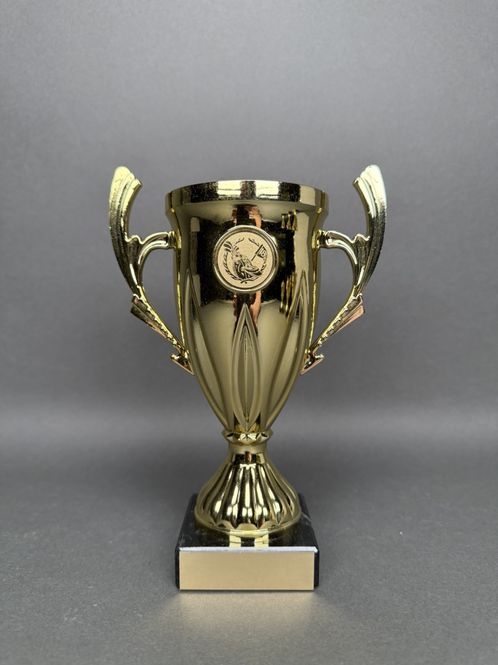 Huvudbild Trofé Karin, Guld, 195mm, Diameter 80mm