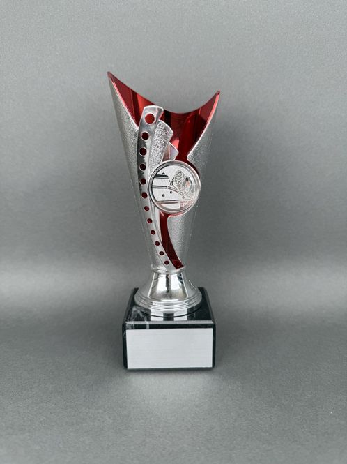 Huvudbild Trofé Jenny, Silver-Röd, 170mm