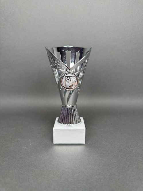 Huvudbild Trofé Pekka, Silver, 170mm